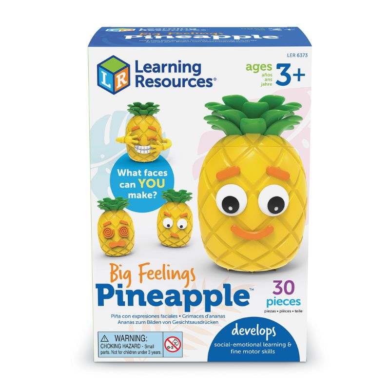 Big Feelings Pineapple.jpg