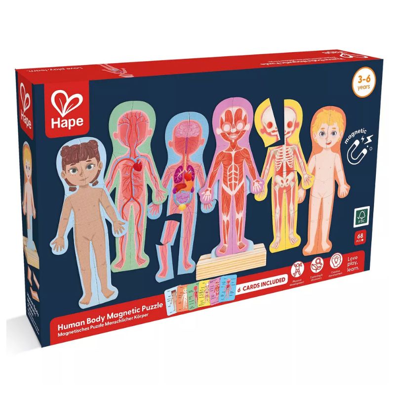 Human Body Magnetic Puzzle.jpg