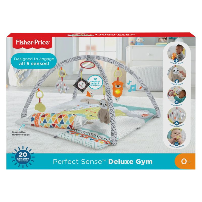 Perfect Sense Deluxe Gym.jpg